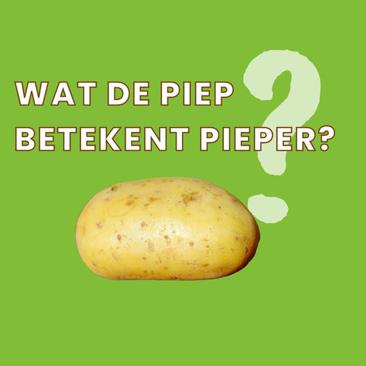 Wat betekent het woord "Pieper"?