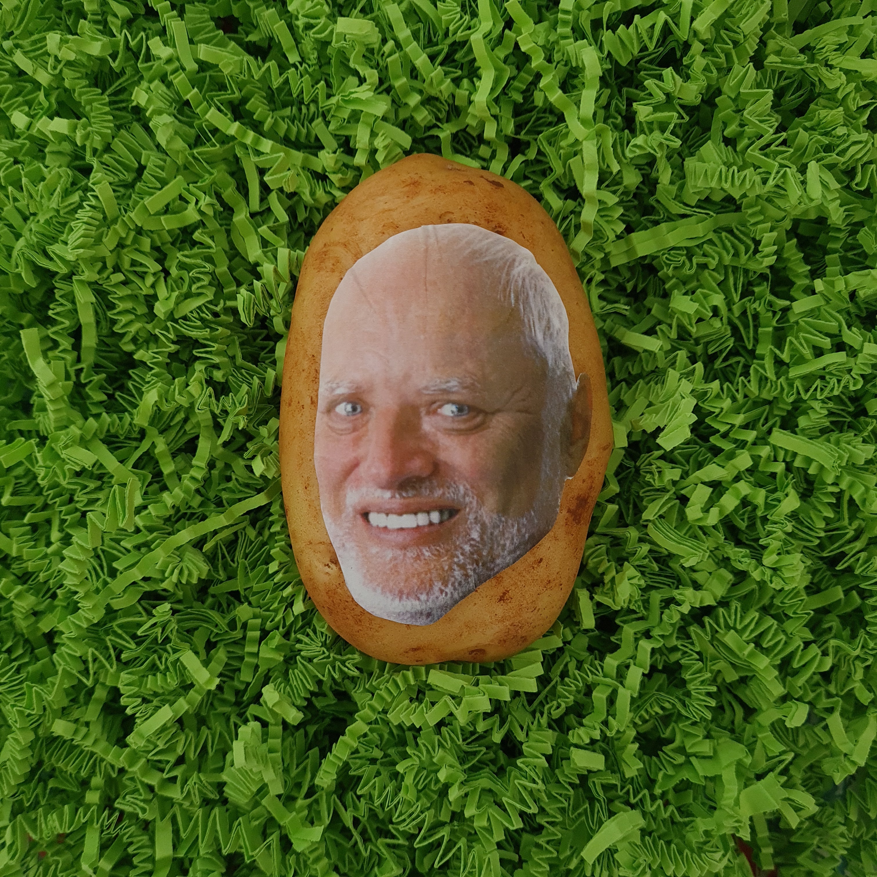 Een aardappel met daarop een foto van het uitgeknipte hoofd van Hide the Pain Harold. In hysterisch groene verpakking.